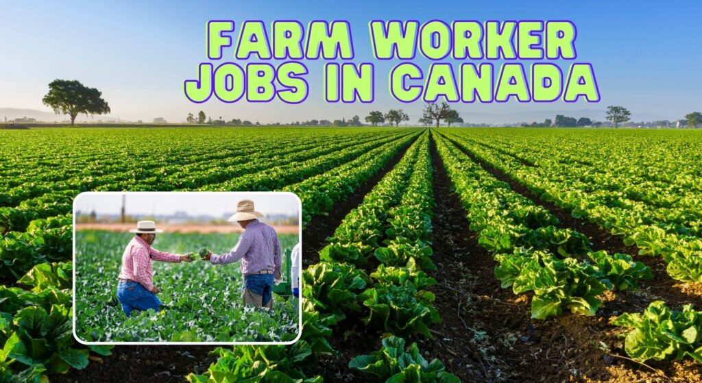 Farm Worker Jobs in Canada: Your Gateway to a Rewarding Career