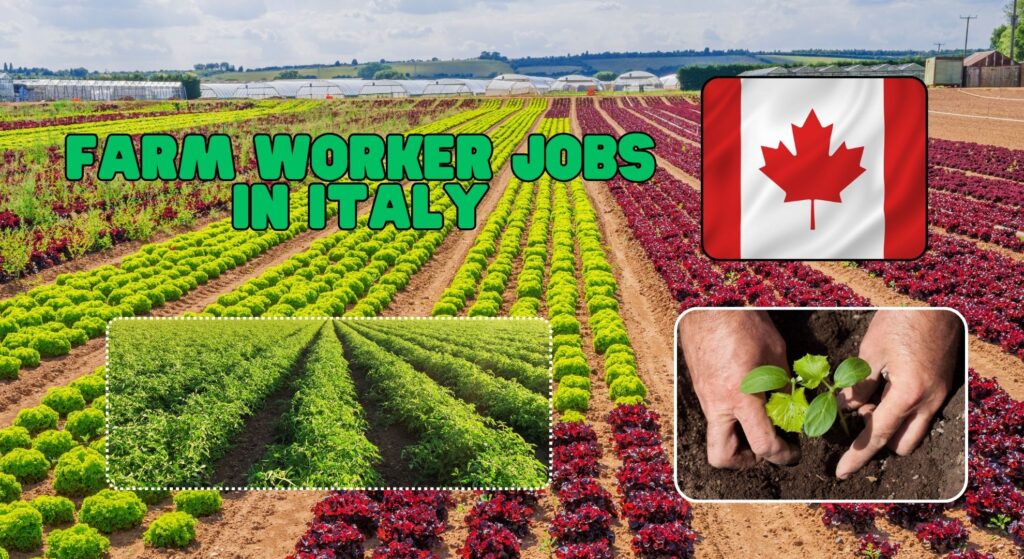 Farm Worker Jobs in Italy