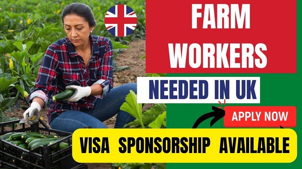 A Complete Guide to Form Worker Jobs in the UK