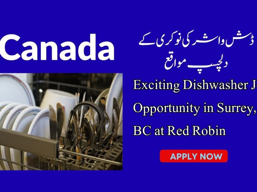 Dishwasher Job Opportunity